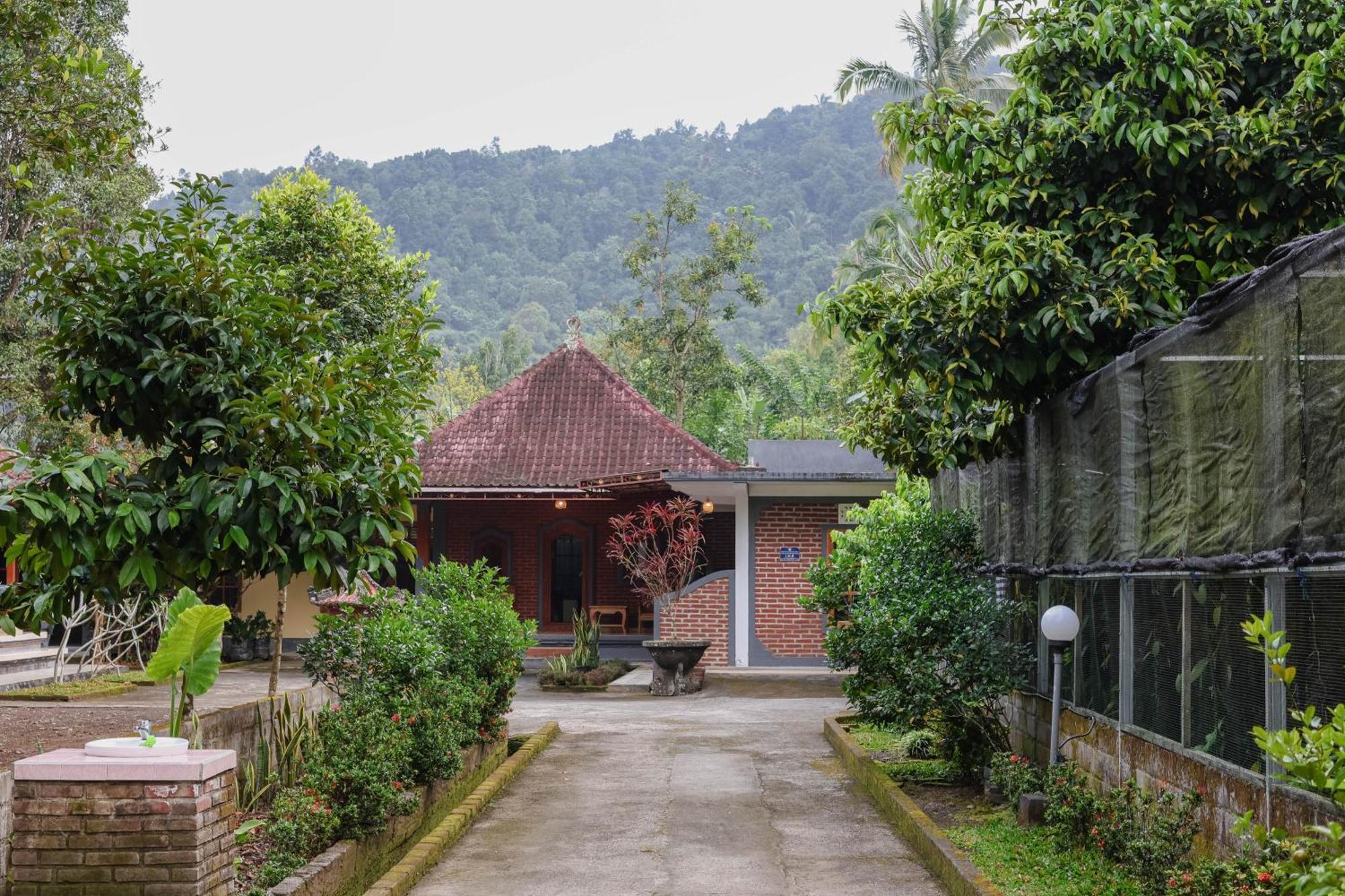 The Kori Homestay Munduk  Ngoại thất bức ảnh